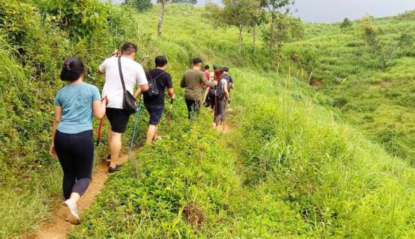 Can Team Building Increase Productivity in a Company?