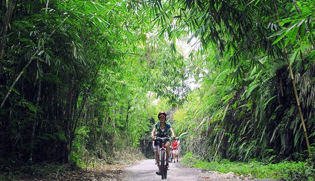 BEST OF WEST VILLAGE