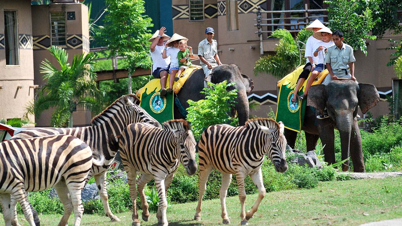 Bali Safari and Marine Park - Event Organizer-Team Building-Hybrid Event