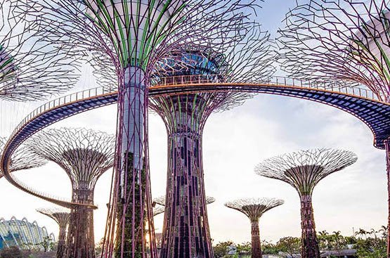 Gardens by the Bay dan OCBC Skyway