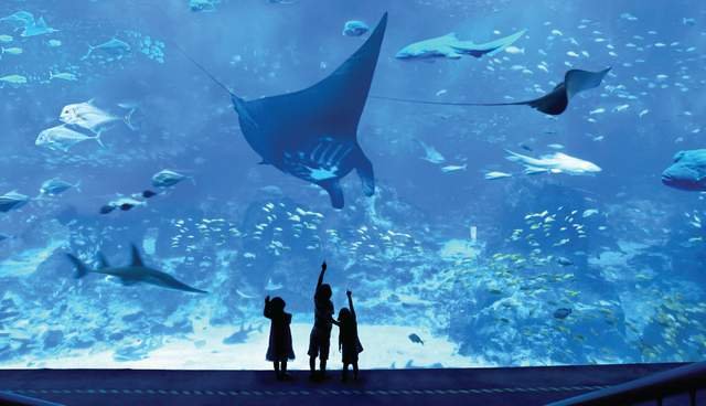 SEA Aquarium Sentosa Singapore